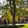 Students walking on campus